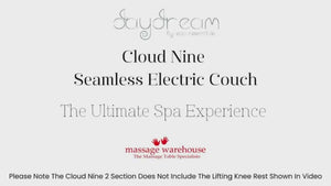 DAYDREAM CLOUD NINE SEAMLESS 2 SECTION ELECTRIC TREATMENT COUCH
